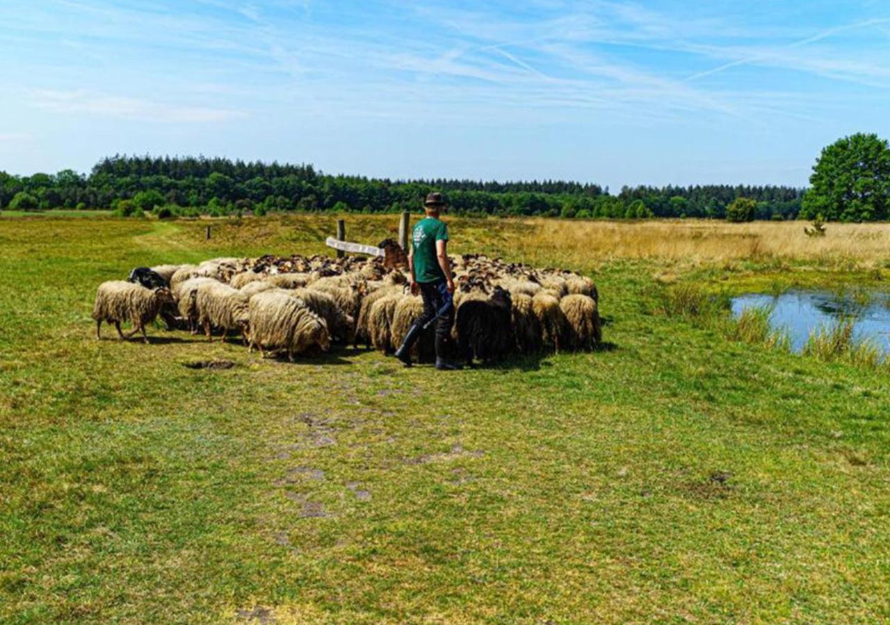 Mini Camping Drentse Monden Nieuw-Weerdinge Bagian luar foto